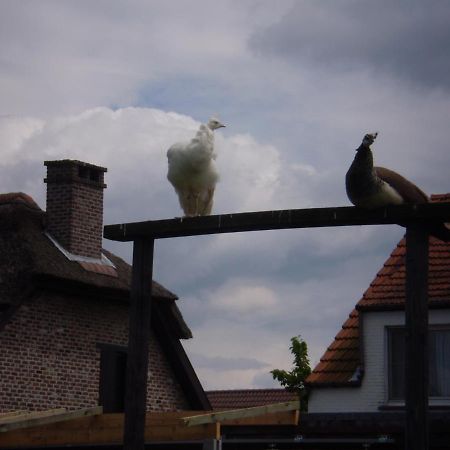 Vakantieverblijf-Beestenboel Retie ภายนอก รูปภาพ