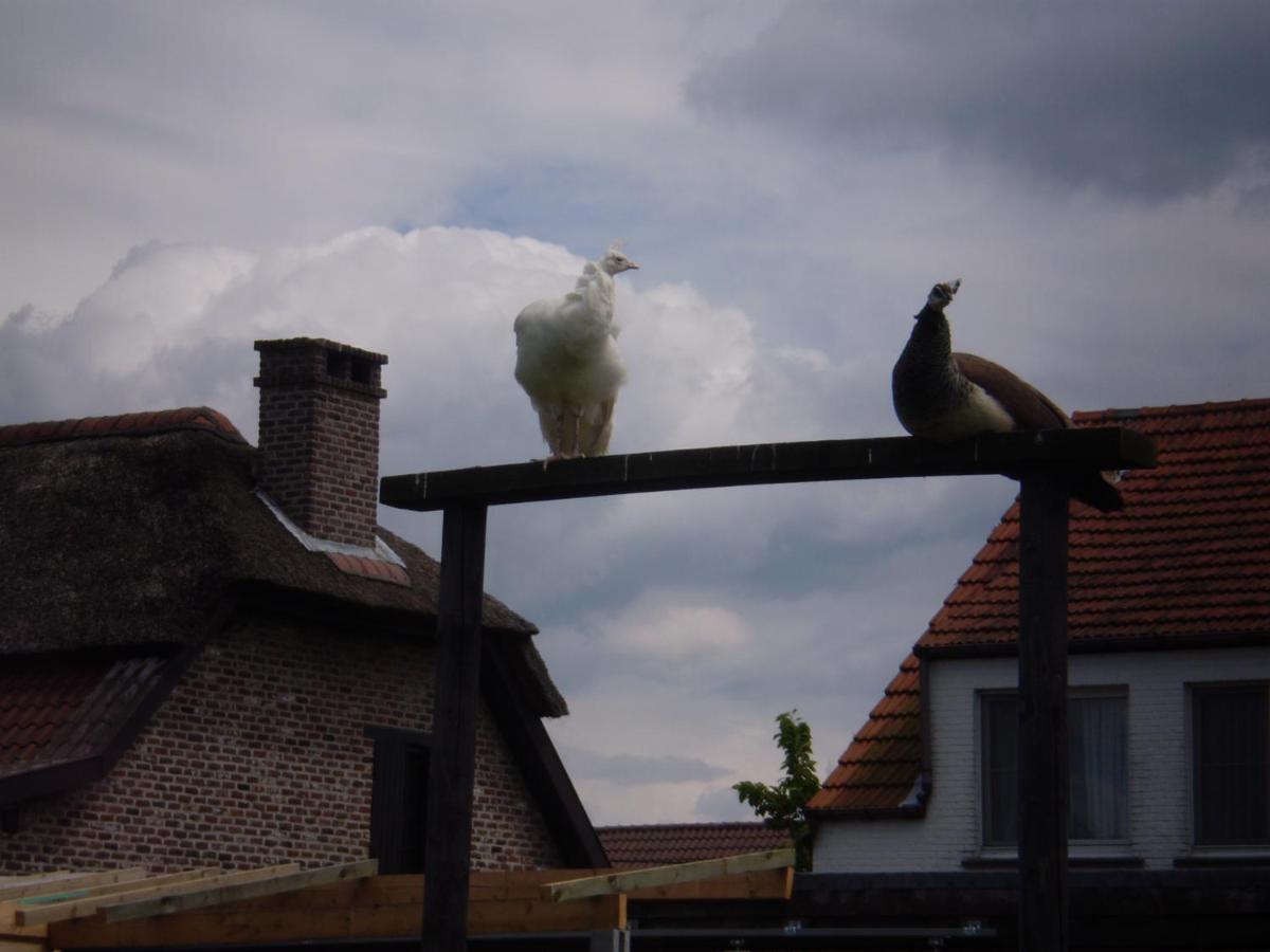 Vakantieverblijf-Beestenboel Retie ภายนอก รูปภาพ
