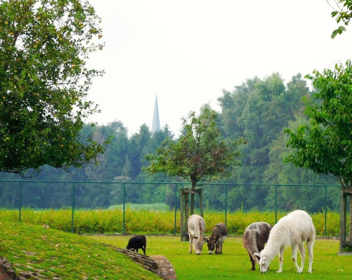 Vakantieverblijf-Beestenboel Retie ภายนอก รูปภาพ