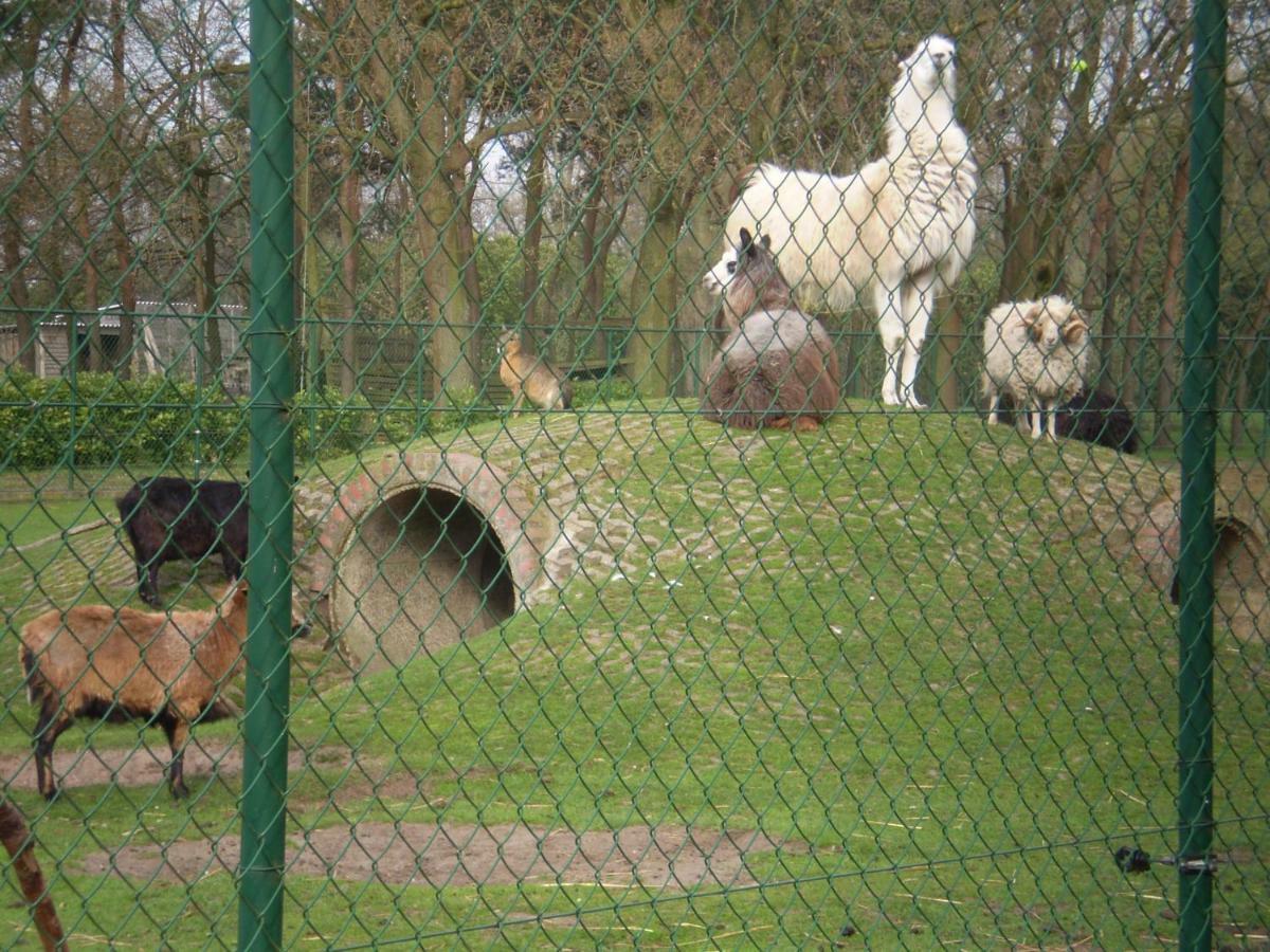 Vakantieverblijf-Beestenboel Retie ภายนอก รูปภาพ