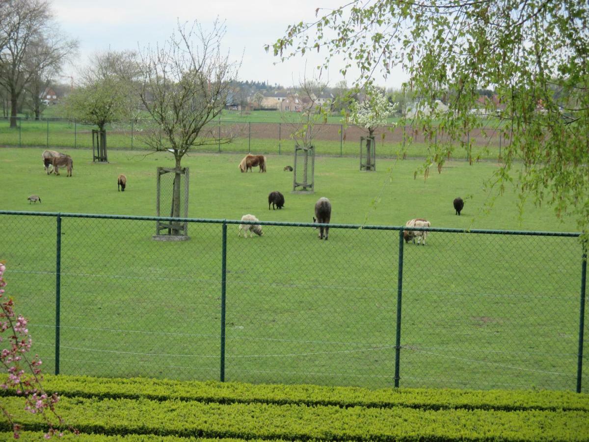 Vakantieverblijf-Beestenboel Retie ภายนอก รูปภาพ